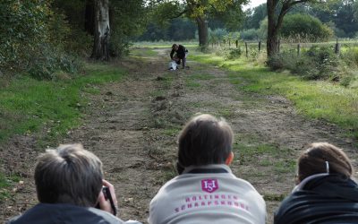 Workshop hondenfotografie