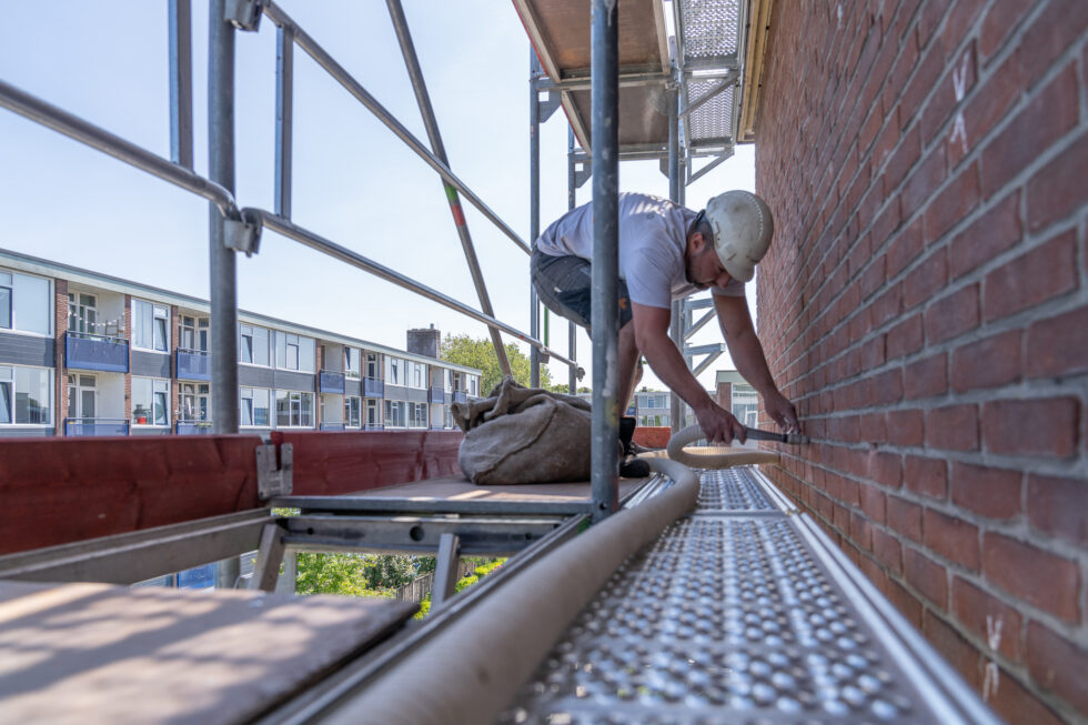 Gemeente Deventer project gierzwaluw en vleermuis