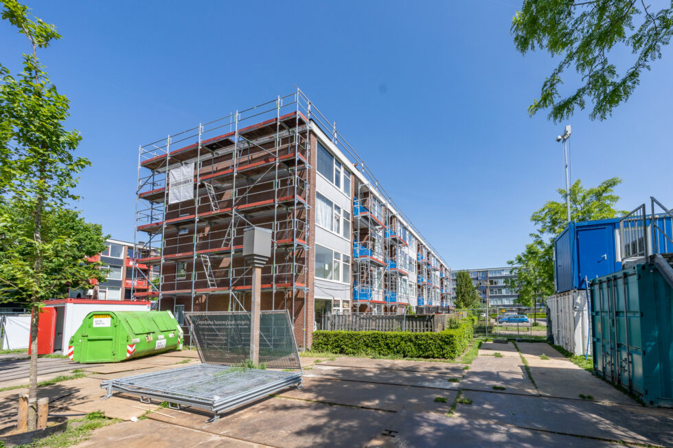 Gemeente Deventer project gierzwaluw en vleermuis