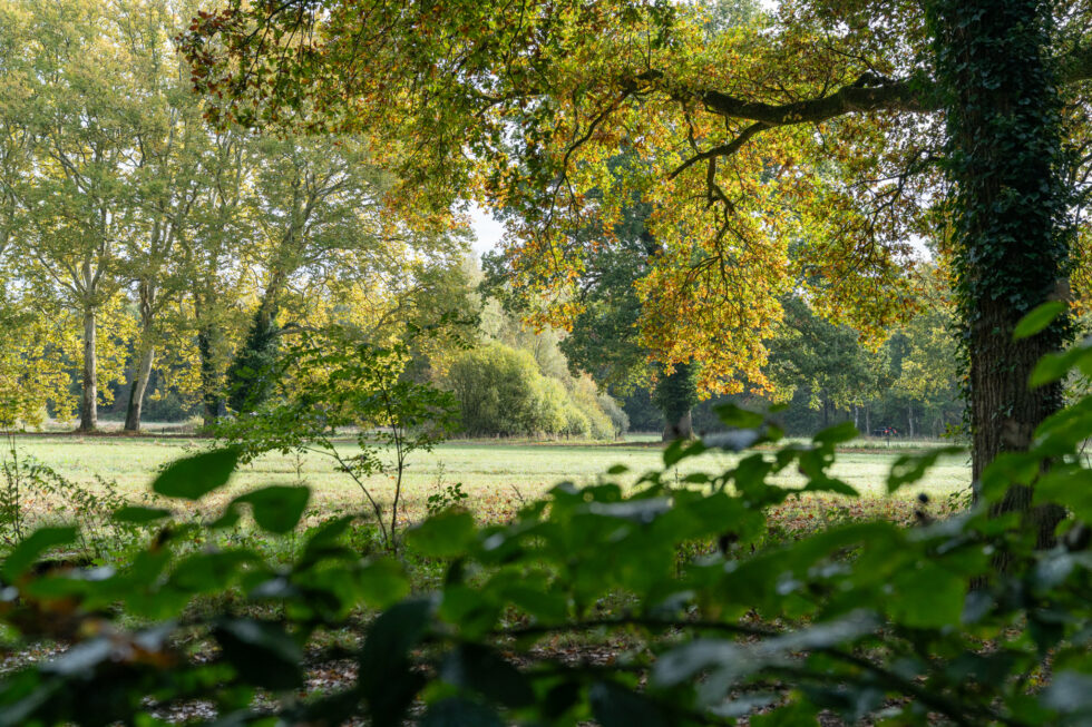 Masterplan IJsselvallei