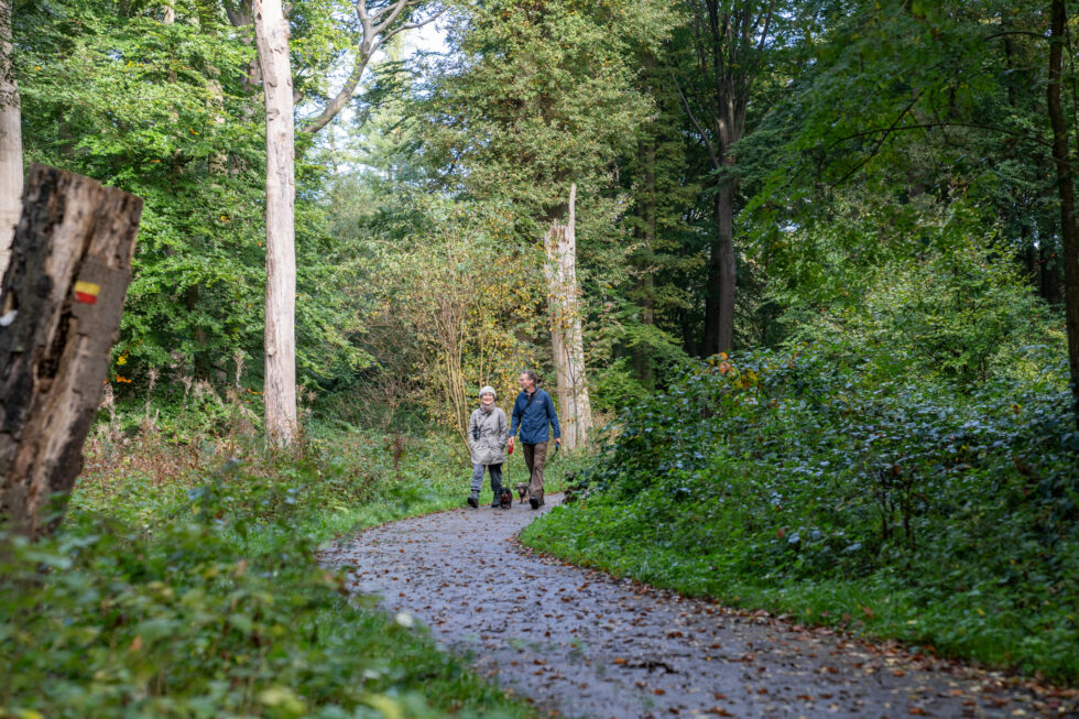 Masterplan IJsselvallei Brummen