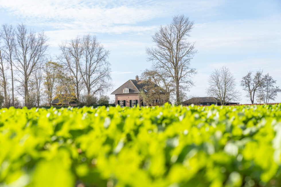 Masterplan IJsselvallei